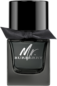 Burberry Mr. Burberry EdP Nat. Spray