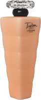 Lancôme Trésor Lait Corps