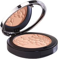 Maria Galland Paris 820-Poudre Perfectrice Eclat